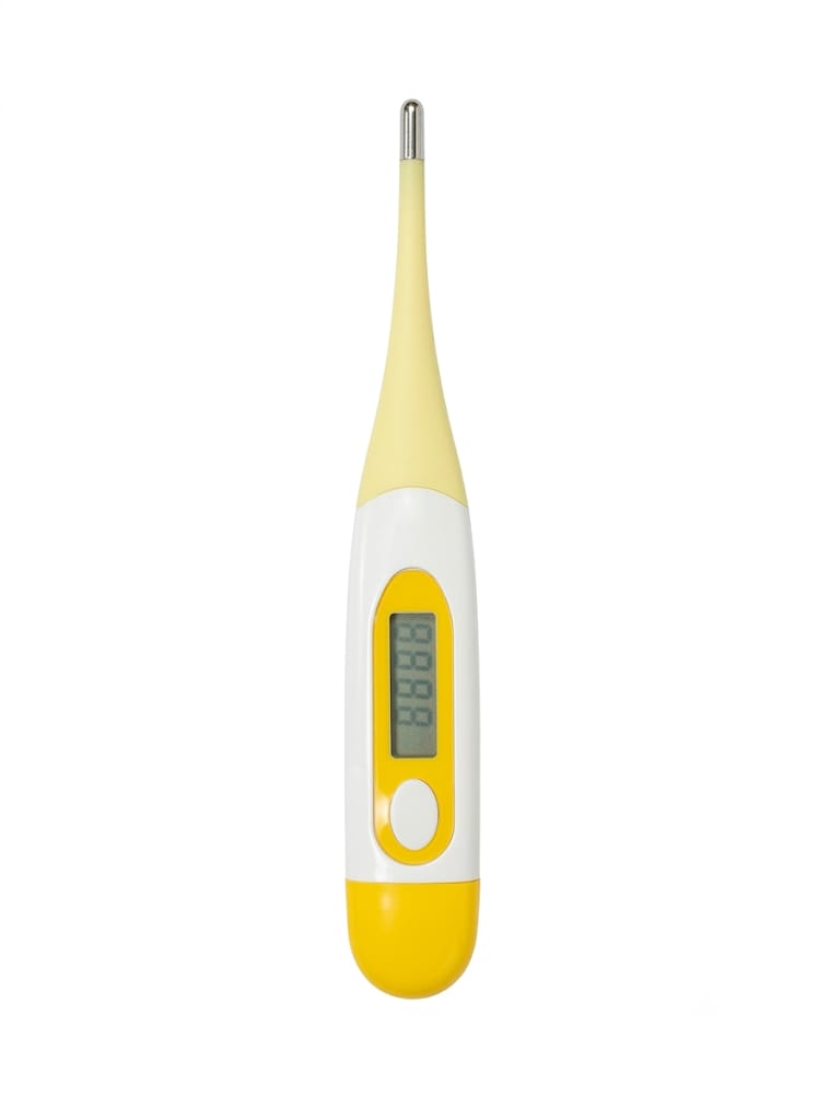 TERMÓMETRO DIGITAL CON PUNTA FLEXIBLE MISTIPLAS