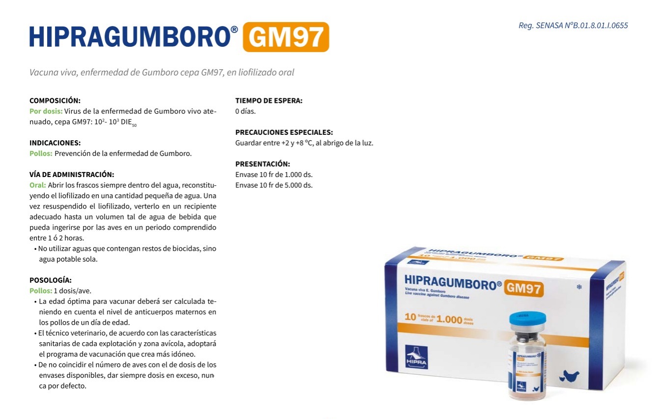 VACUNA HIPRA GUMBORO GM97 x1000 DS MISTIPLAS